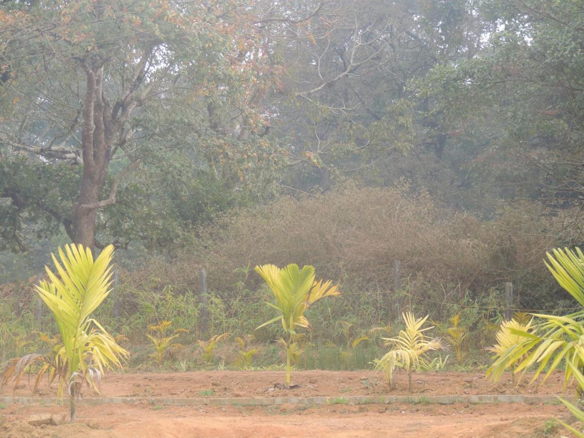 شقة Dandeli Aura المظهر الخارجي الصورة